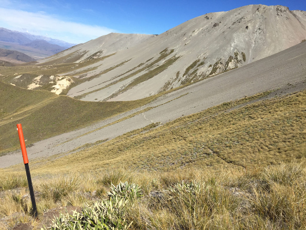 Te Araroa: One Hiker’s Triple-Pronged Method for Completing a Thru-Hike