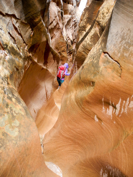 Wander The Maze of Canyonlands