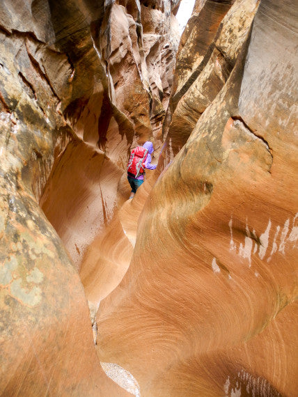 Wander The Maze of Canyonlands