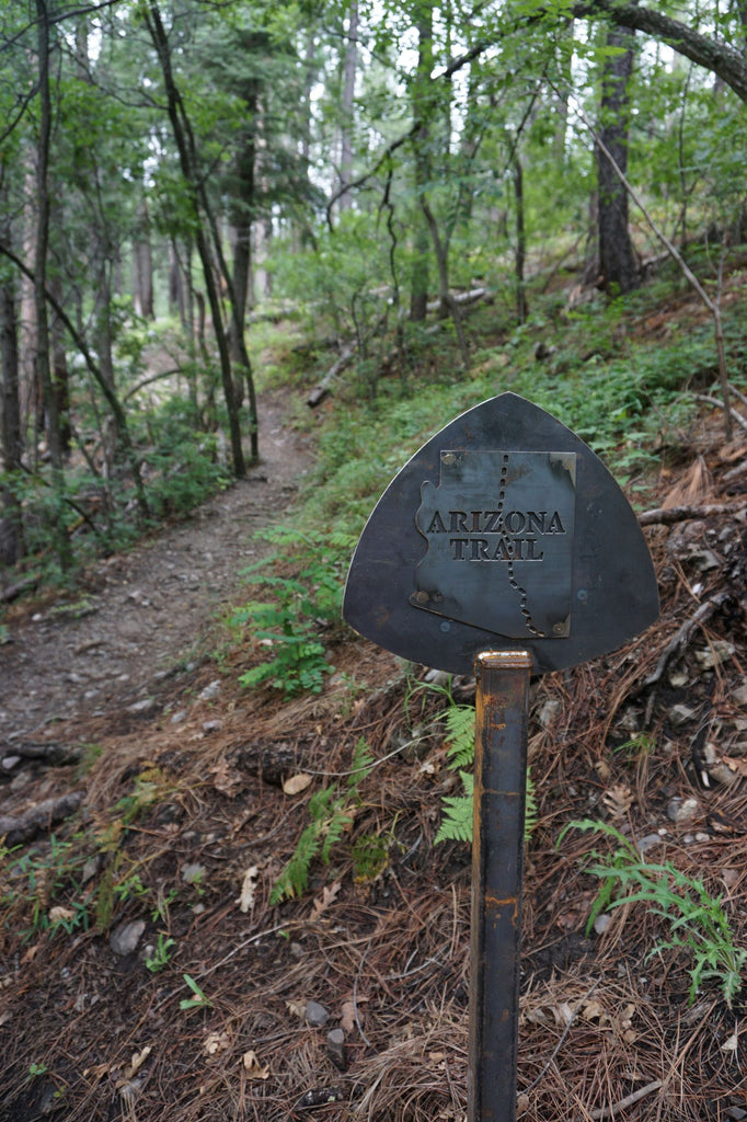 Sirena Rana Talks Best Day Hikes on the Arizona National Scenic Trail