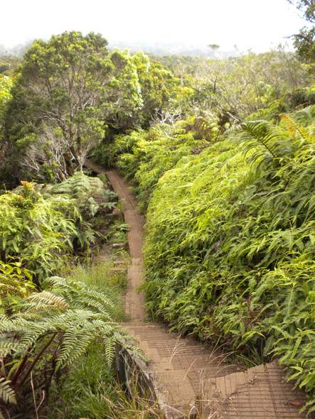 Adventure Traveling and Hiking on Kauai