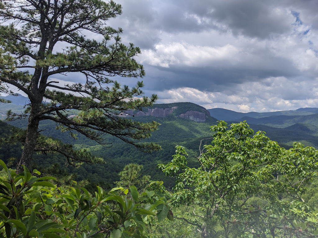 Taking on the Pisgah 400 Hiking Challenge to Stay Sane During COVID-19